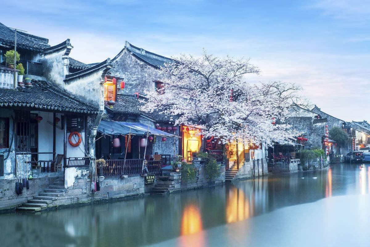 球球大作战下载最新版